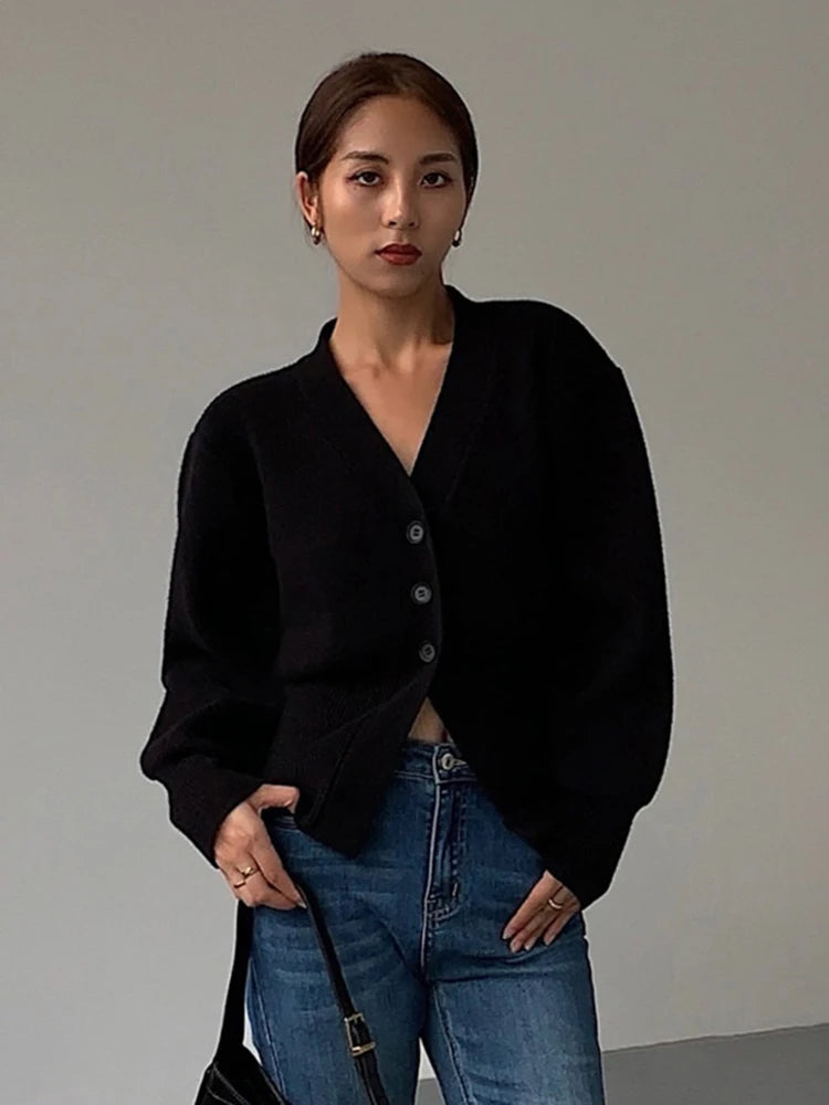 V-Neck Long Sleeve Sweater